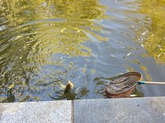 -酷鱼垂钓CLUB(朝阳区博大路店 )