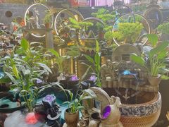 -朝来春花卉市场