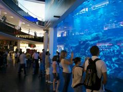-迪拜水族馆及水下动物园
