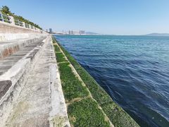 -悦海公园
