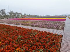 -大旗头古村