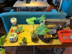 -84那年咖啡馆(李沧万达店)