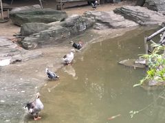 -南昌动物园