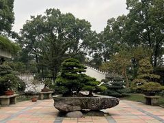 -南山植物园
