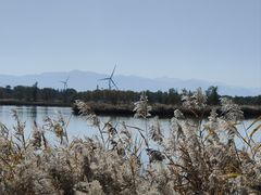 -野鸭湖国家湿地公园