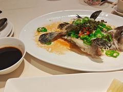-利苑酒家(华熙国际店)