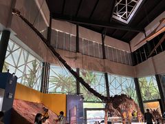 -湖南省地质博物馆