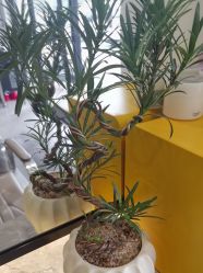 -LJOY丽锦造型·烫发染发