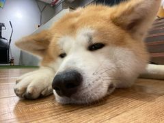 -YCHL Studios健身工作室(市二宫店)