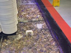 -千百叶海鲜自助餐厅(万达广场店)