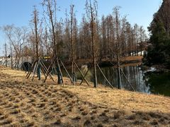 -梁鸿国家湿地公园