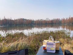 -白鹭湾湿地公园