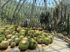 -深圳仙湖植物园