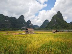 -明仕田园