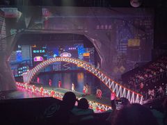-重庆国际马戏城