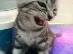 -乐宠宠物店(世纪金源店)