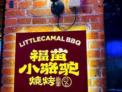 -福苗小骆驼烧烤(莲湖路店)