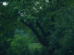 -青峰峡国家森林公园