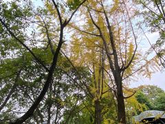 -成都市活水公园