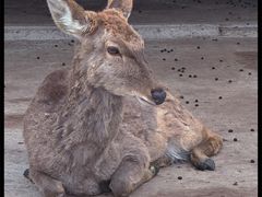 -丝绸小镇荻港古村