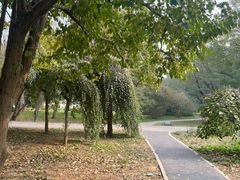 -国家植物园南园