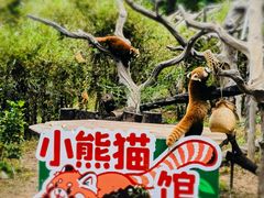 -广州动物园