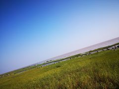 -南汇新城海滩