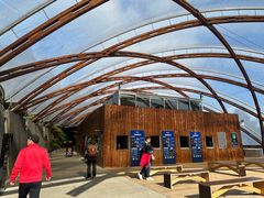 -怀托摩萤火虫洞