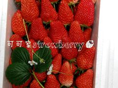 -乐天影城(威高广场店)