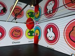 -line friends(明洞旗舰店)