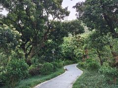 -月亮湾公园