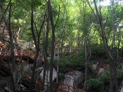 -大岭沟猕猴桃谷风景区