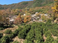 -塔川景区