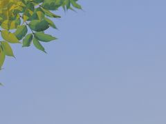 -哈尔滨文化公园