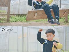 -前小桔亲子创意农场·草莓采摘·露营烧烤