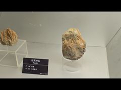 -甘肃地质博物馆