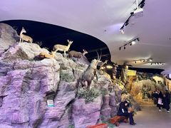 -陕西自然博物馆