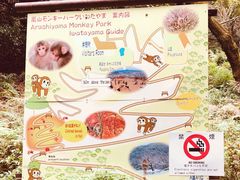-岚山猴子公园