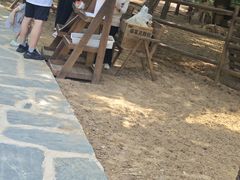 -南戴河国际娱乐中心