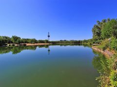 -大兴滨河森林公园