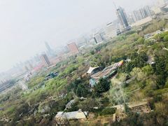 -山东大厦