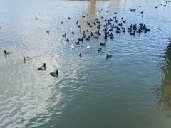 -洱海月湿地公园