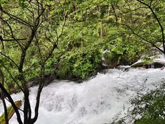 -叠溪松坪沟景区