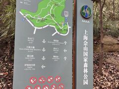 -上海佘山国家森林公园天马山园