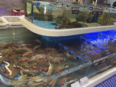 -大众海鲜(巨龙北路店)
