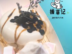 -狐狸和向日葵(北京路店)
