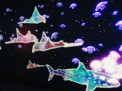 -暹罗海洋世界