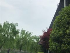-上海鲜花港