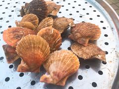扇贝-四海鲜渔家菜(黄金海岸店)