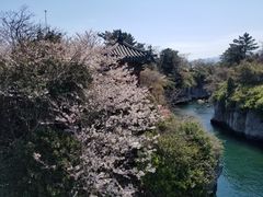 -龙头岩(Dragon Head Rock)